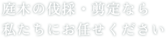 庭木の伐採・剪定なら 私たちにお任せください